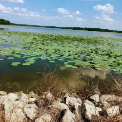 Cedar Lake - Carbondale