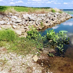 Cedar Lake - Carbondale