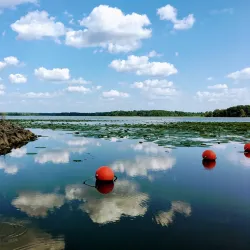 Cedar Lake - Carbondale