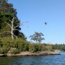 Cedar Lake - Carbondale