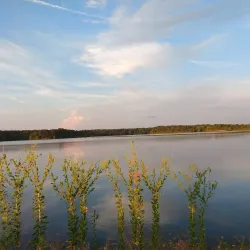 Crab Orchard National Wildlife Refuge - Carbondale