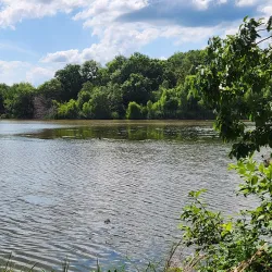 Crab Orchard National Wildlife Refuge - Carbondale