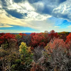 Giant City State Park - Carbondale