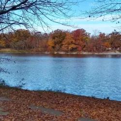 Lake Murphysboro State Park - Carbondale
