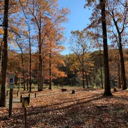 Lake Murphysboro State Park - Carbondale