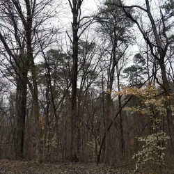 Lake Murphysboro State Park - Carbondale