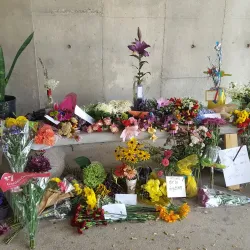 University Museum at Southern Illinois University - Carbondale