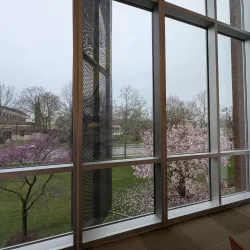 Champaign Public Library - Champaign