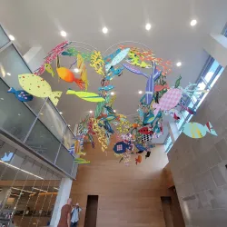 Champaign Public Library - Champaign