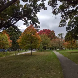 Crystal Lake Park - Champaign