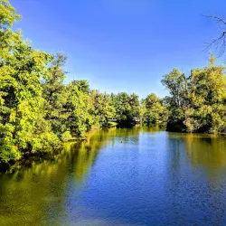 Crystal Lake Park - Champaign