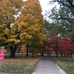 Crystal Lake Park - Champaign