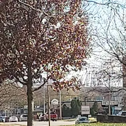 Hessel Park - Champaign