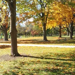 Hessel Park - Champaign