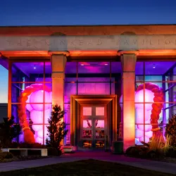 Krannert Art Museum - Champaign