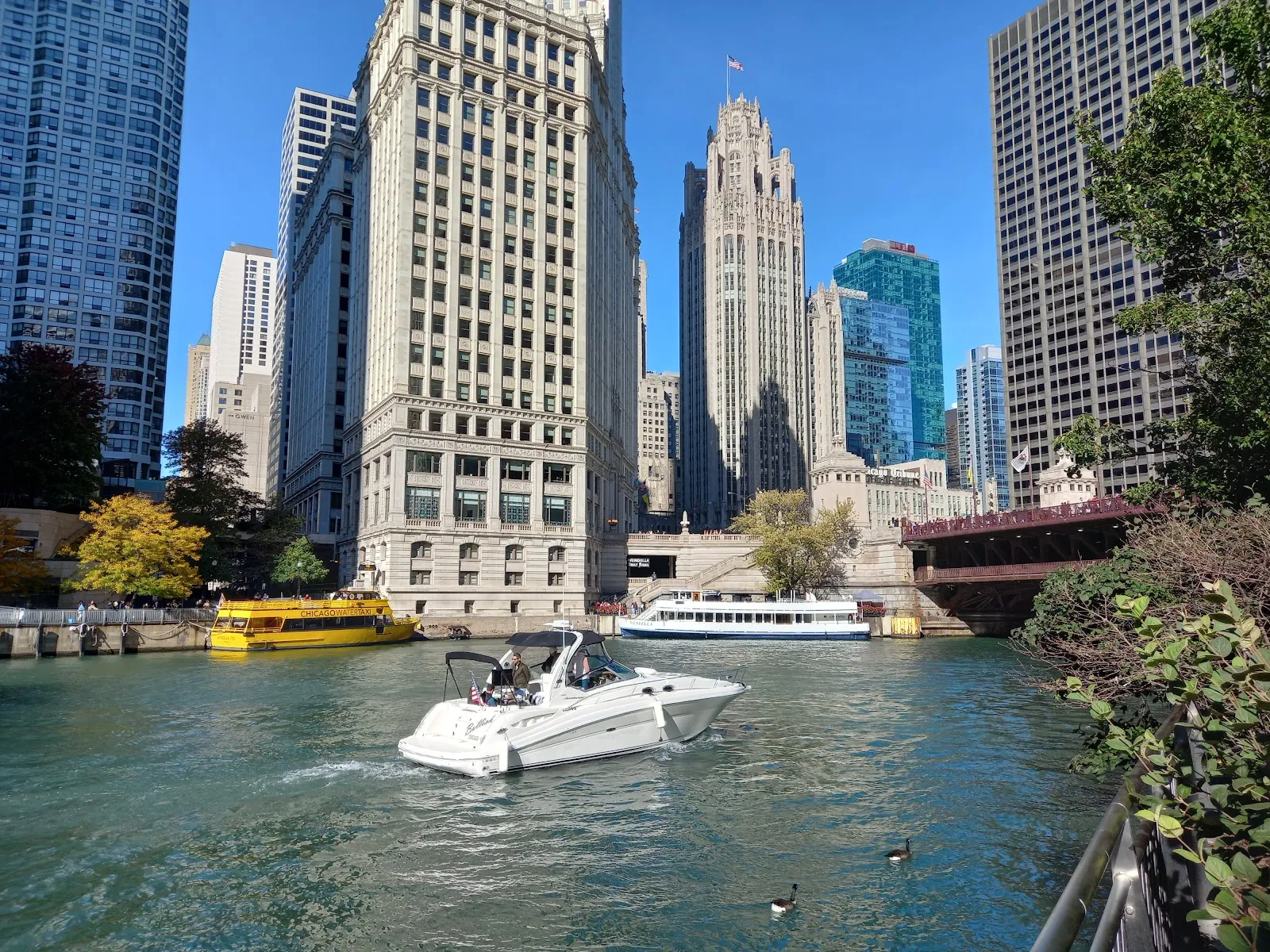 Chicago, IL