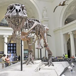 Field Museum of Natural History - Chicago