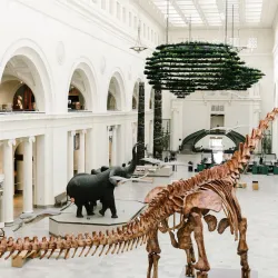 Field Museum of Natural History - Chicago