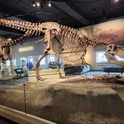 Field Museum of Natural History - Chicago