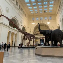 Field Museum of Natural History - Chicago