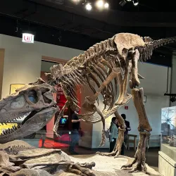 Field Museum of Natural History - Chicago