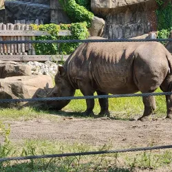 Lincoln Park Zoo - Chicago