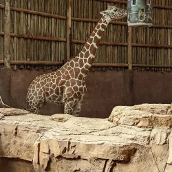 Lincoln Park Zoo - Chicago