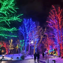 Lincoln Park Zoo - Chicago