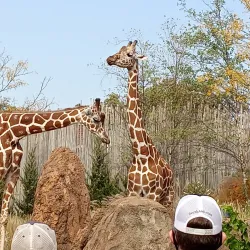 Lincoln Park Zoo - Chicago