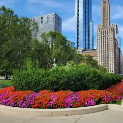 Millennium Park - Chicago