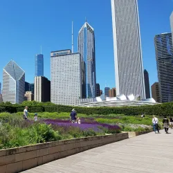 Millennium Park - Chicago
