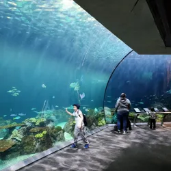 Shedd Aquarium - Chicago