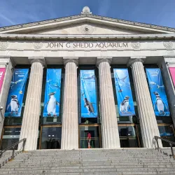 Shedd Aquarium - Chicago