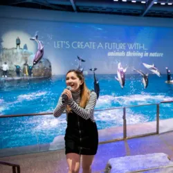 Shedd Aquarium - Chicago