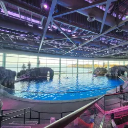 Shedd Aquarium - Chicago