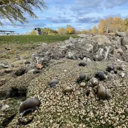Monee Reservoir - Crete