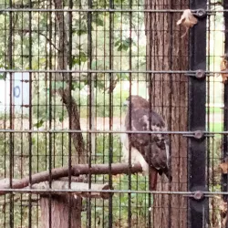 Sand Ridge Nature Center - Crete