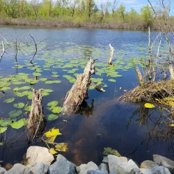 Sand Ridge Nature Center - Crete