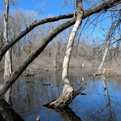 Sand Ridge Nature Center - Crete