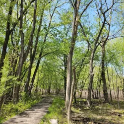 Sand Ridge Nature Center - Crete