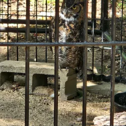 Sand Ridge Nature Center - Crete