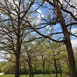 Tinley Creek Trail - Crete