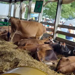 Will County Fairgrounds - Crete