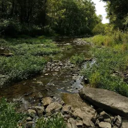 Wilmington Prairie Preserve - Crete