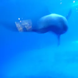 Wilmington Prairie Preserve - Crete