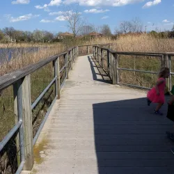 Centennial Park - Crystal Lake