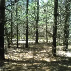 Prairie Trail - Crystal Lake