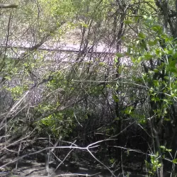 Prairie Trail - Crystal Lake