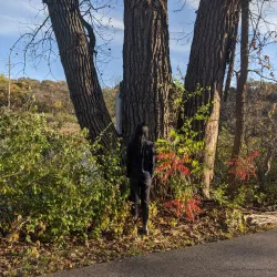 Prairie Trail - Crystal Lake