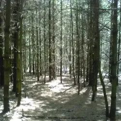 Prairie Trail - Crystal Lake